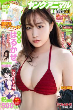 八八影院理伦片