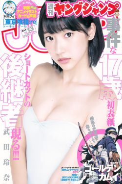 巴西龟